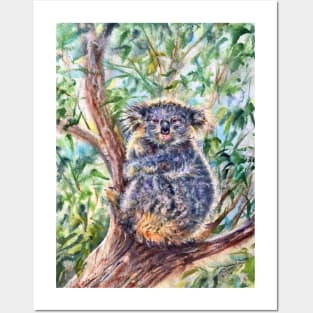 Koala Posters and Art